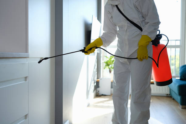Best Toxic Mold Removal  in Stamps, AR